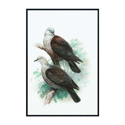 Buy Bird Art Painting online in India - RK Frames